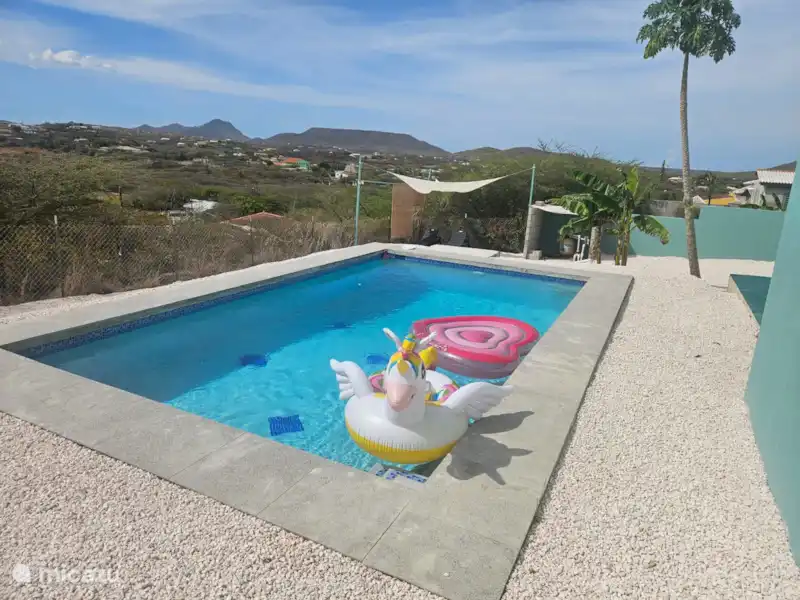 Private pool at Queen of the Hill Villa in Curaçao